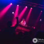 Bass Strike 2019 by Michael Matthews 55