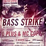 bass_strike 2012